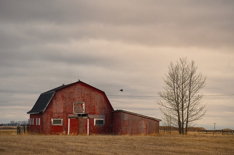 Enchanted Vineyard Barn