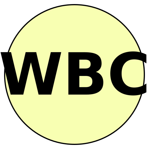 Wisdom Beauty Co.