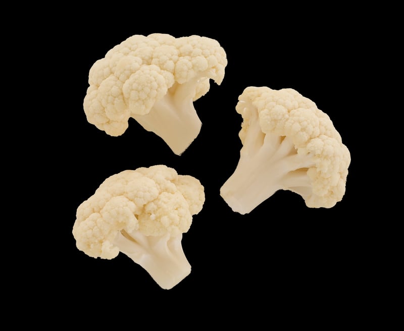 Vendor Recommendations